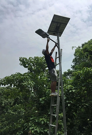 23 pies poste 40W LED Luz de calle solar en Bangladesh